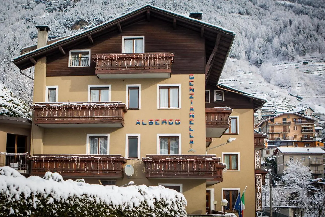 Hotel Genzianella Chiesa in Valmalenco 3*,  Italy